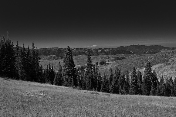 B&W0169