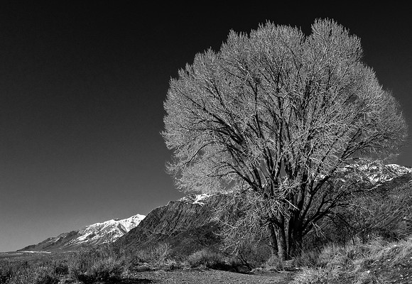 BW003912