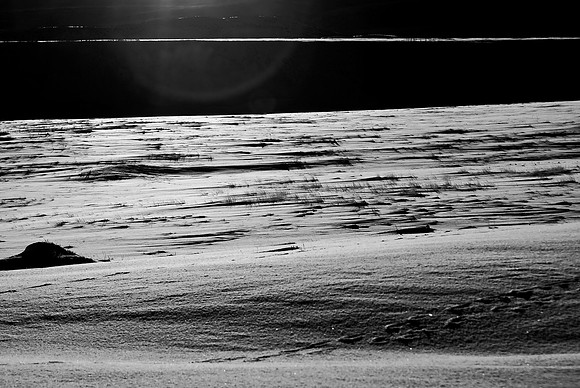 B&W1468