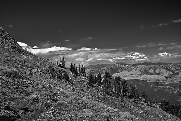 B&W0467