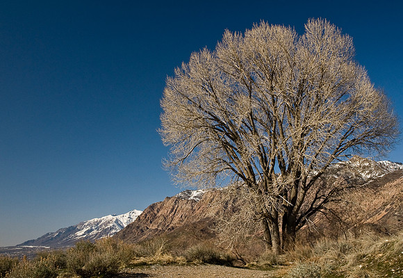 Trailhead0039
