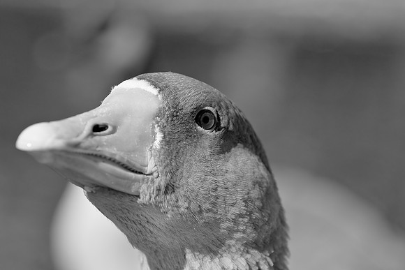 BW0301