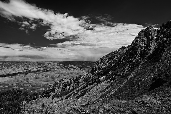 B&W0461