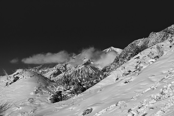B&W1644