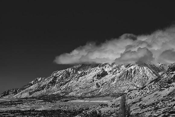 B&W1630