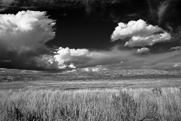 B&W0057