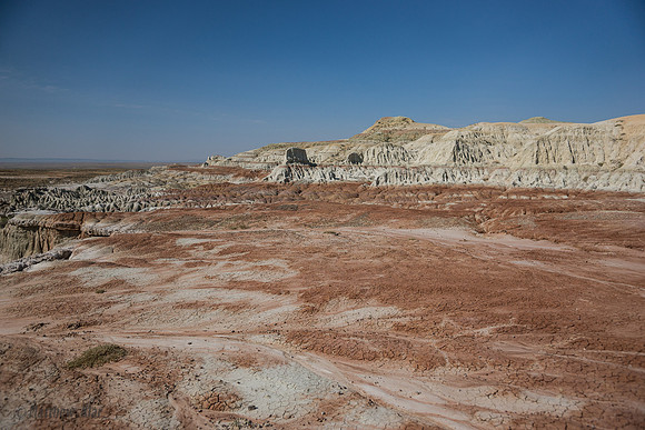 DSC09179