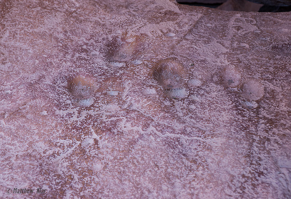 DSC07386