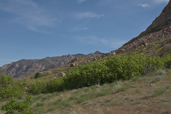 Trailhead0627