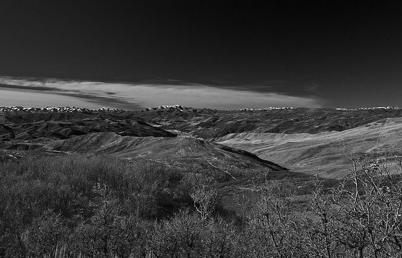 B&W1050