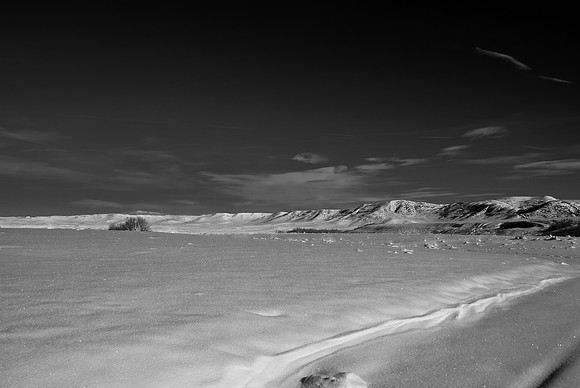 B&W1315