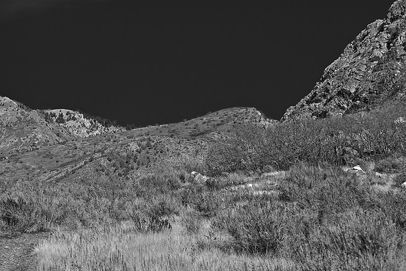 B&W0842