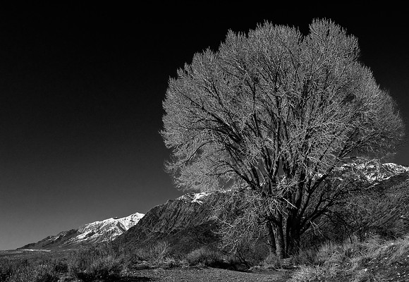 B&W0039