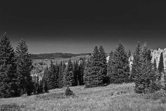 B&W0081