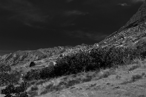 B&W0627