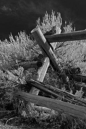B&W0111