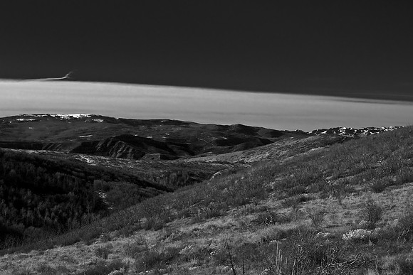 B&W1043