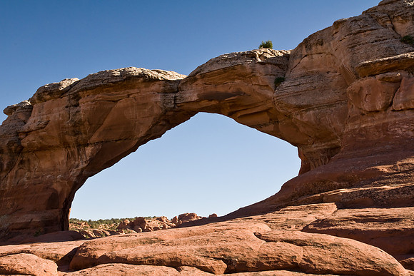 MOAB0888
