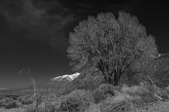 B&W0514