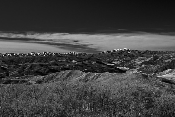 B&W1054