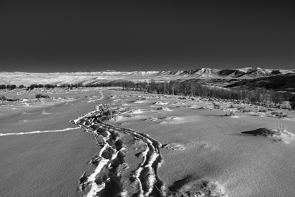 B&W1471
