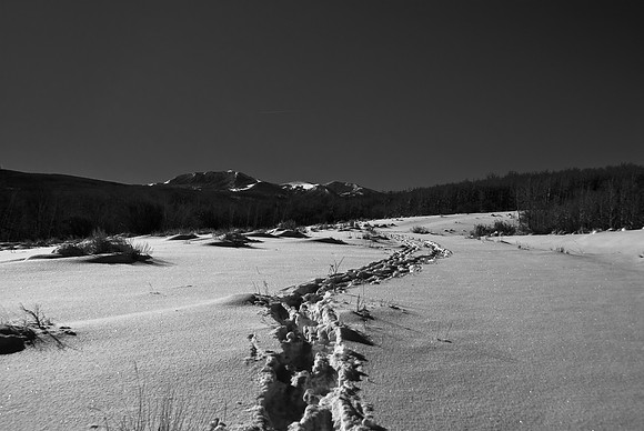 B&W1472