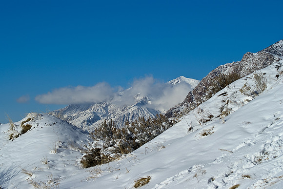 Trailhead1644