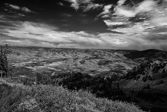 B&W0451