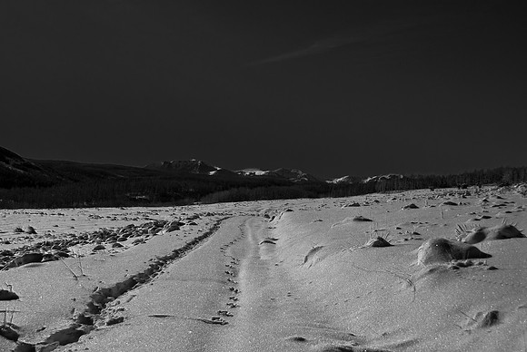 B&W1313