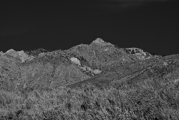 B&W0843