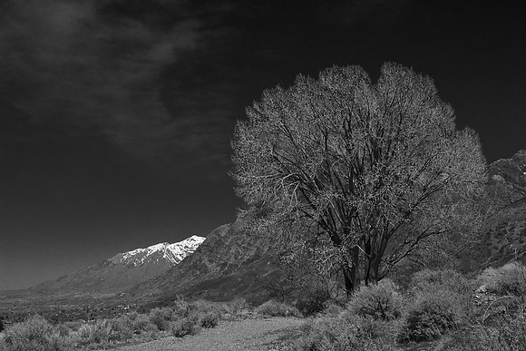 B&W0516