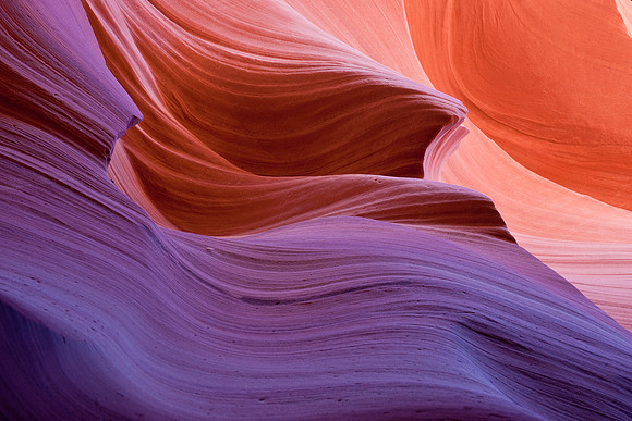DSC00426