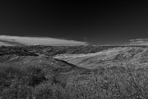 B&W1052