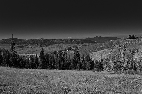 B&W0170