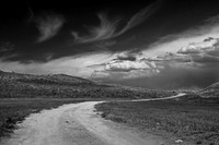 Black&White (Summer)