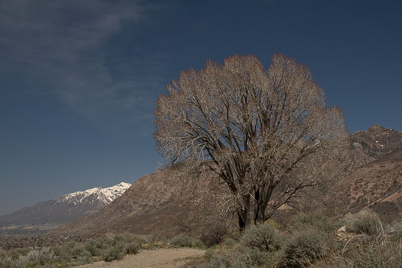 Trailhead0519