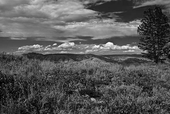 B&W0499