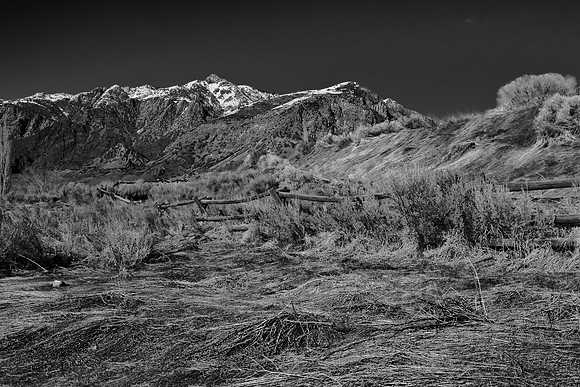 B&W0044
