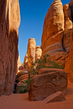 Arches0879