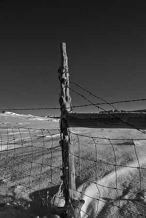 B&W1466