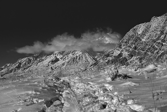 B&W1628