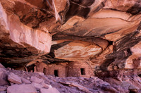 Fallen Roof Ruin