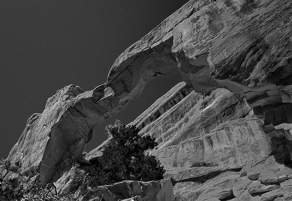 B&W1032