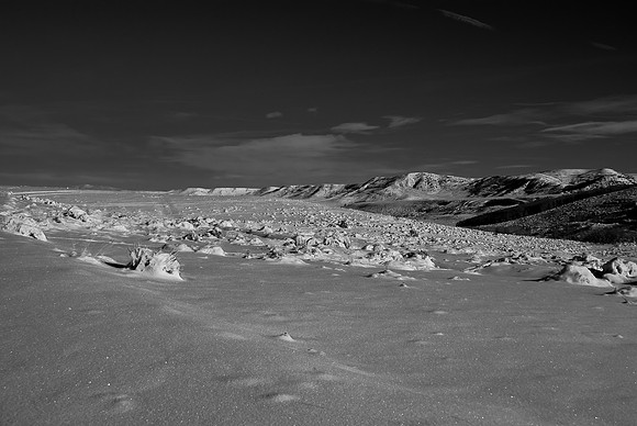 B&W1306