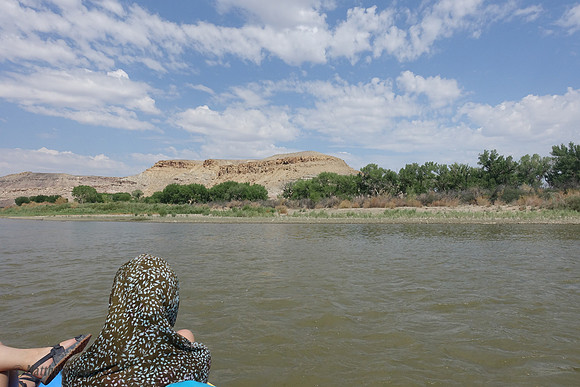 DSC00854