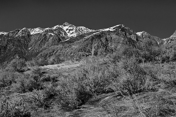 B&W0033