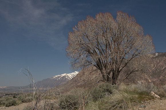 Trailhead0514