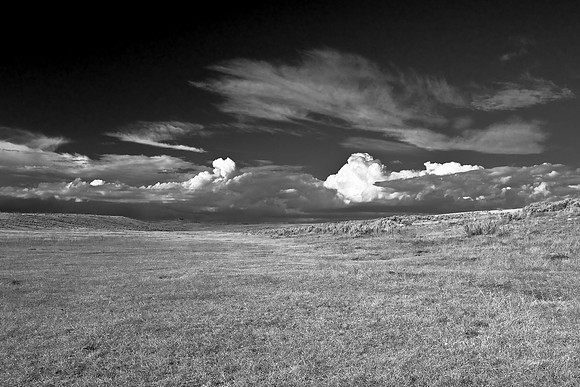 B&W0053
