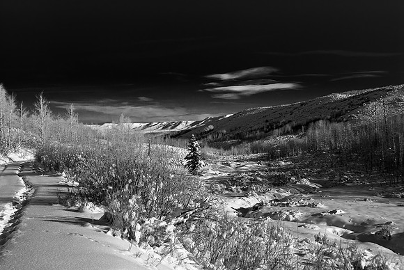 B&W1294