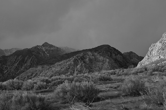 B&W0463
